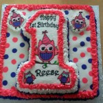 Owl 1st Birthday Cake